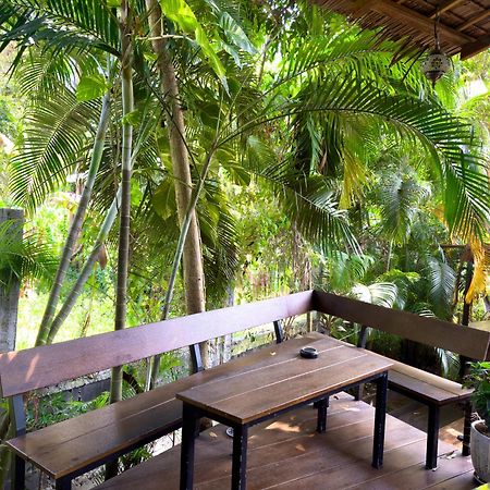 ホテル Jungle Vibes トンサラ エクステリア 写真